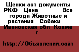 Щенки аст документы РКФ › Цена ­ 15 000 - Все города Животные и растения » Собаки   . Ивановская обл.,Кохма г.